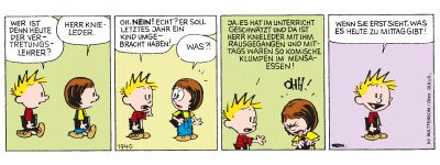 Calvin & Hobbes Nr. 1940