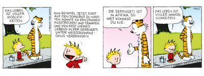 Calvin & Hobbes Nr. 1942