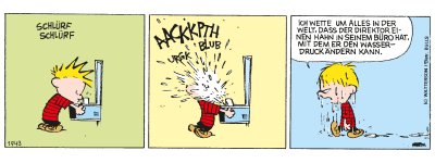 Calvin & Hobbes Nr. 1943